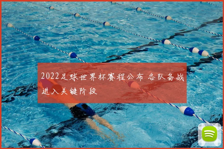 2022足球世界杯赛程公布 各队备战进入关键阶段