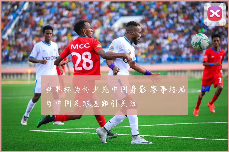 世界杯为何少见中国身影 赛事格局与中国足球差距引关注